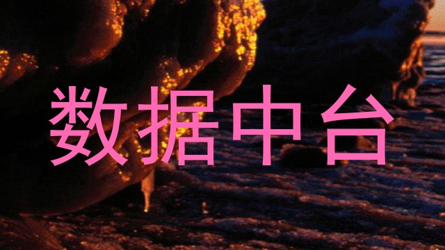 数据中台