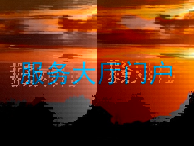 服务大厅门户