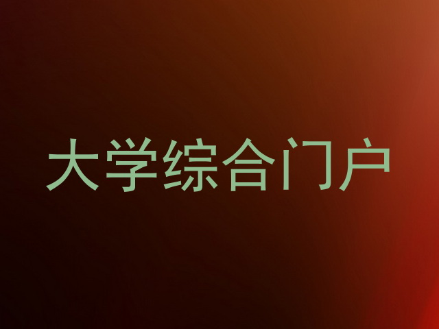 大学综合门户