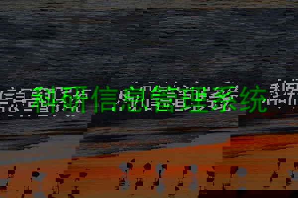 科研信息管理系统