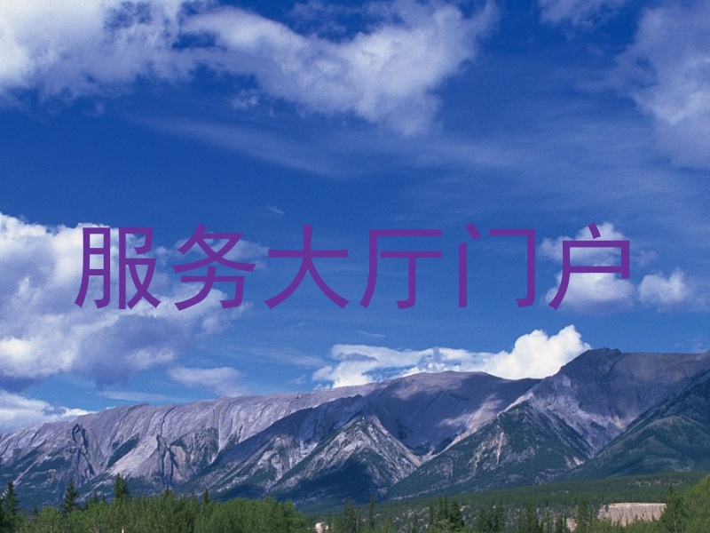 服务大厅门户