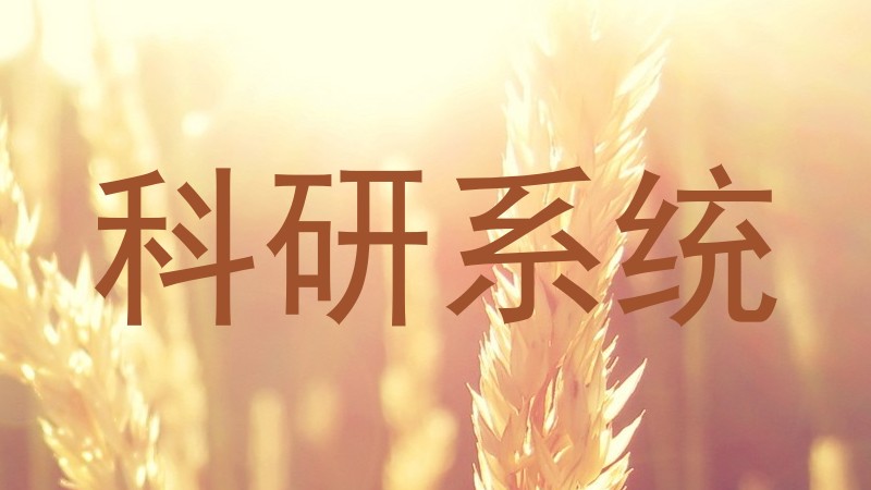 科研系统
