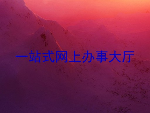 一站式网上办事大厅