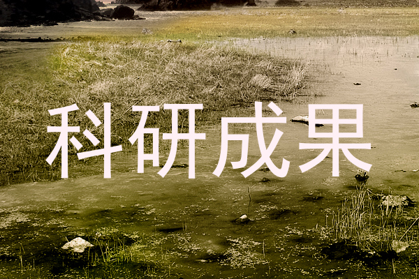 科研成果