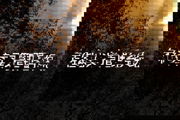 在线实习管理系统