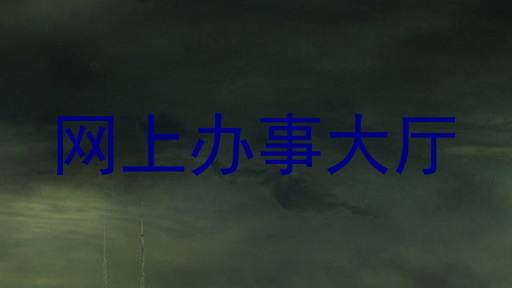 网上办事大厅
