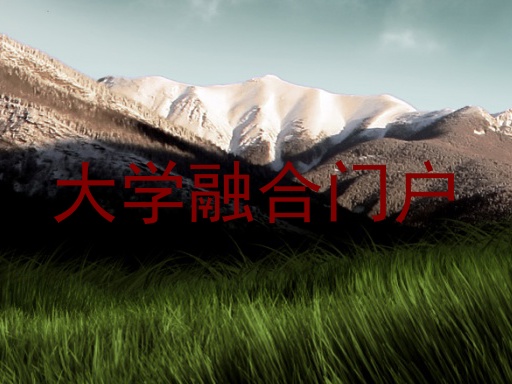大学融合门户