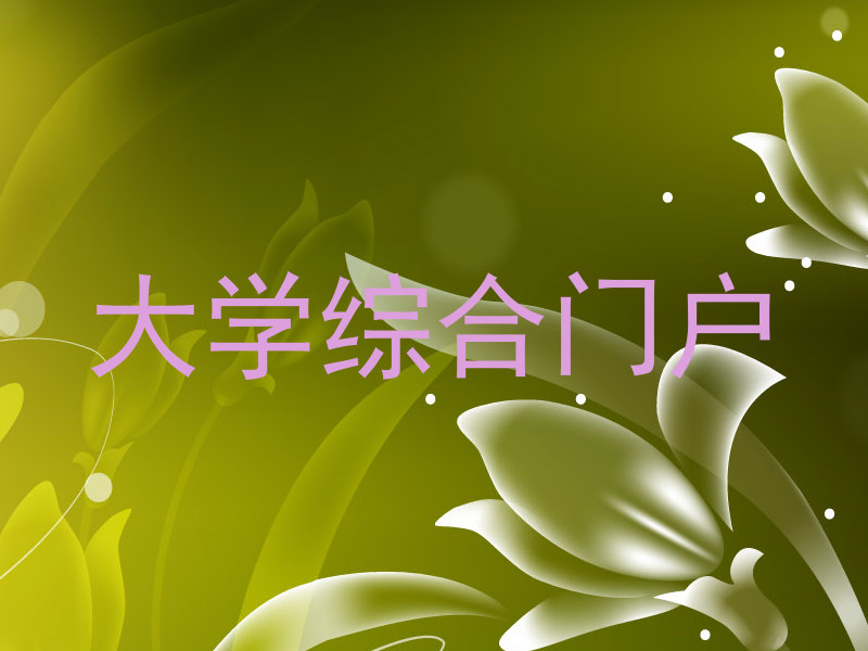 大学综合门户