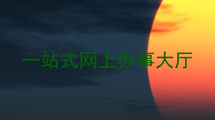 一站式网上办事大厅