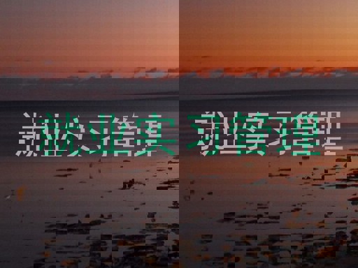 就业实习管理