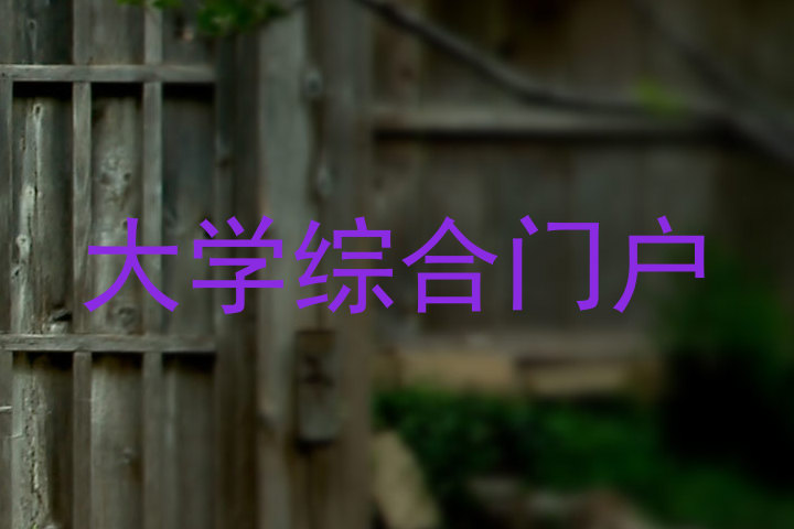 大学综合门户