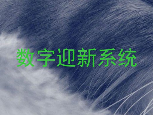数字迎新系统