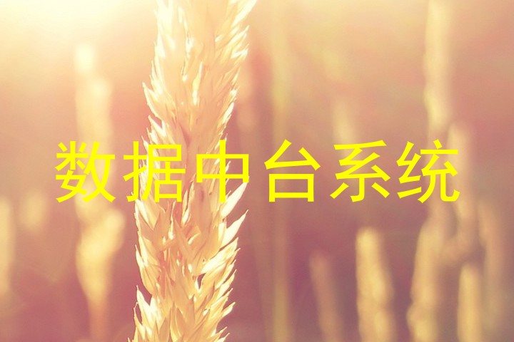 数据中台系统