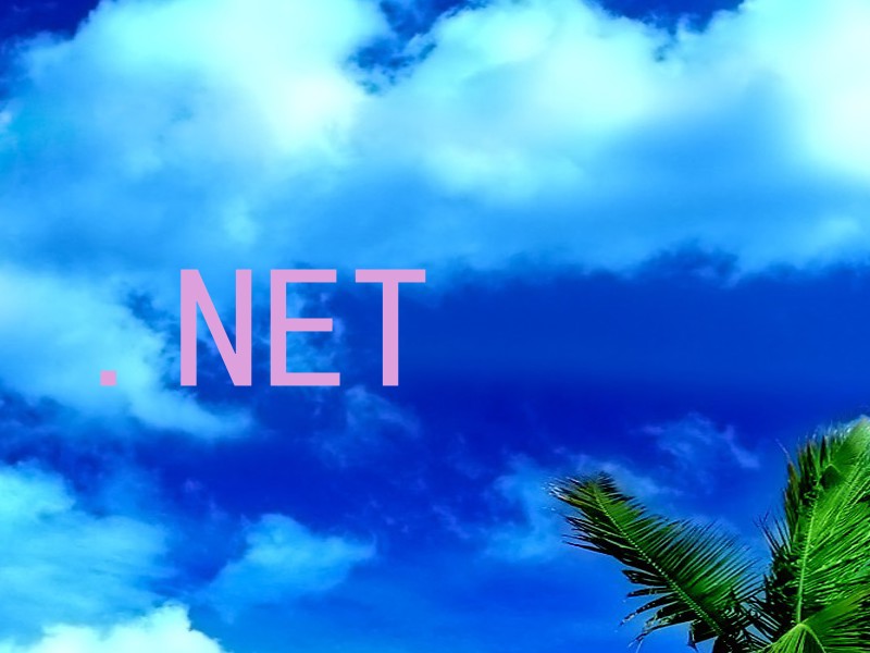 .NET