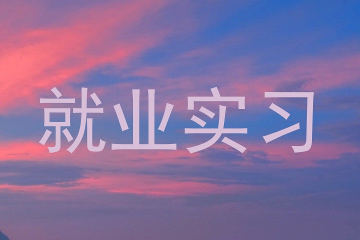 就业实习