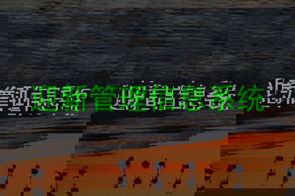 迎新管理信息系统