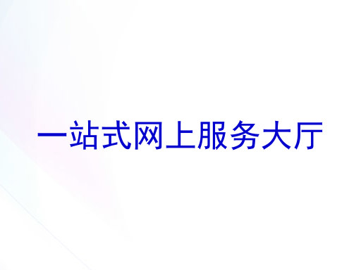 一站式网上服务大厅