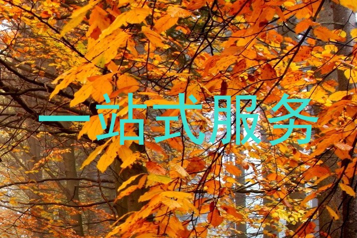 一站式服务