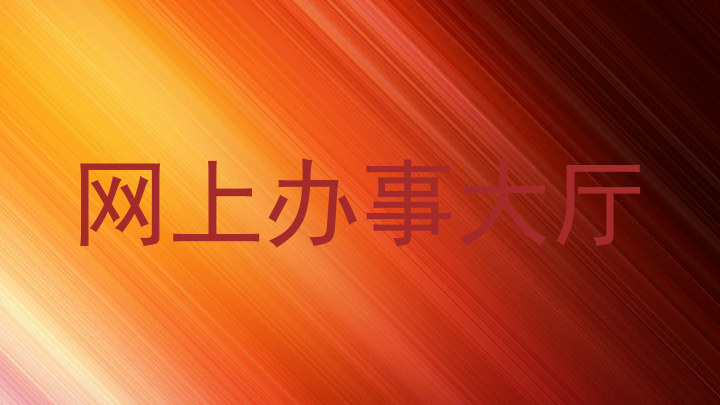 网上办事大厅