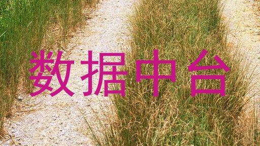 数据中台