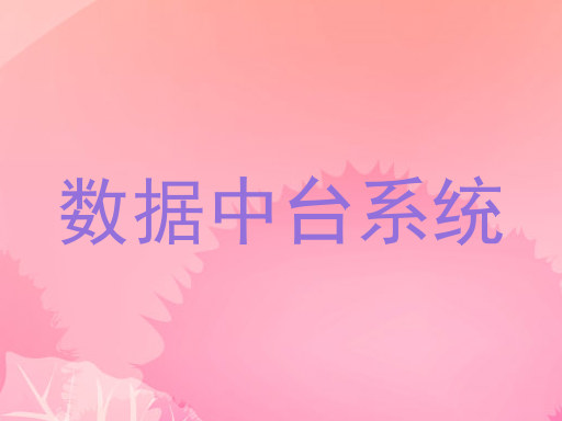 数据中台系统