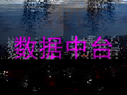 数据中台