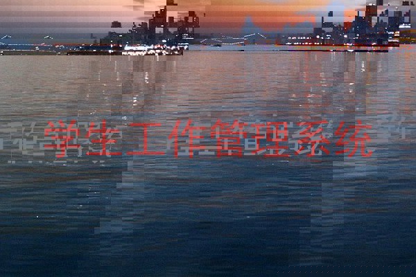 学生工作管理系统