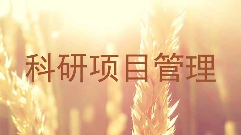 科研项目管理
