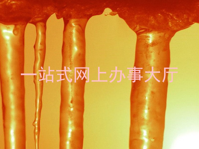 一站式网上办事大厅