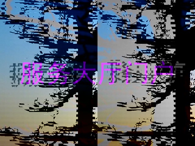 服务大厅门户