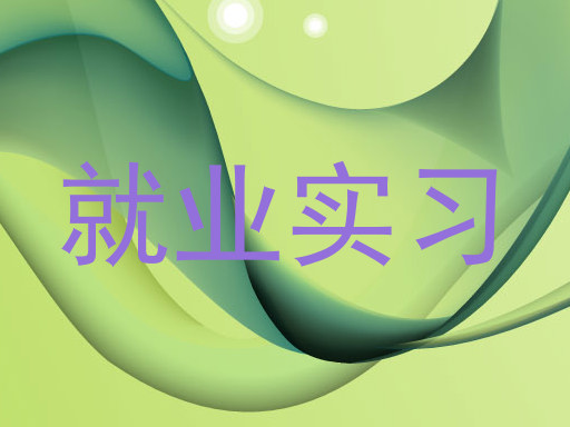 就业实习