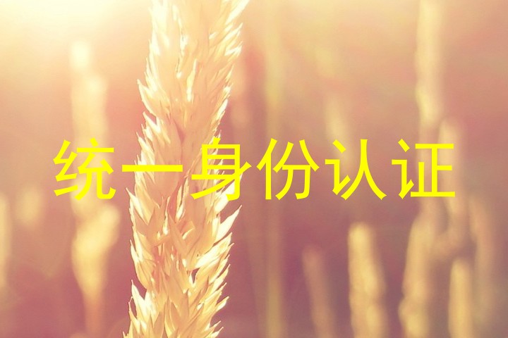 统一身份认证