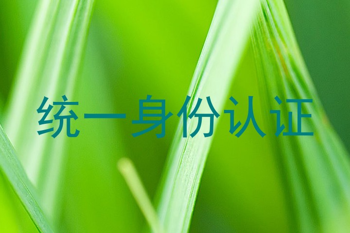 统一身份认证