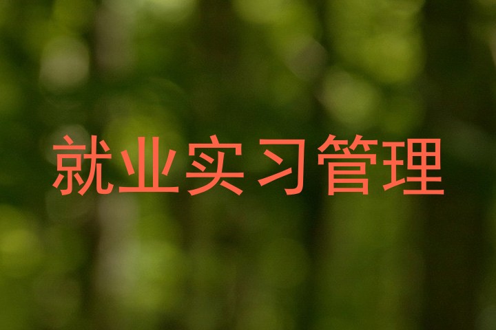 就业实习管理