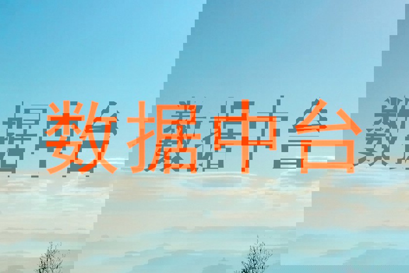 数据中台