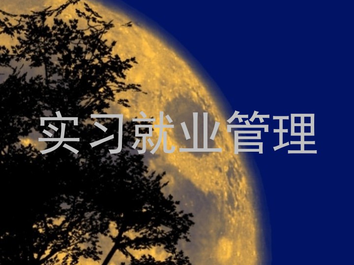 实习就业管理