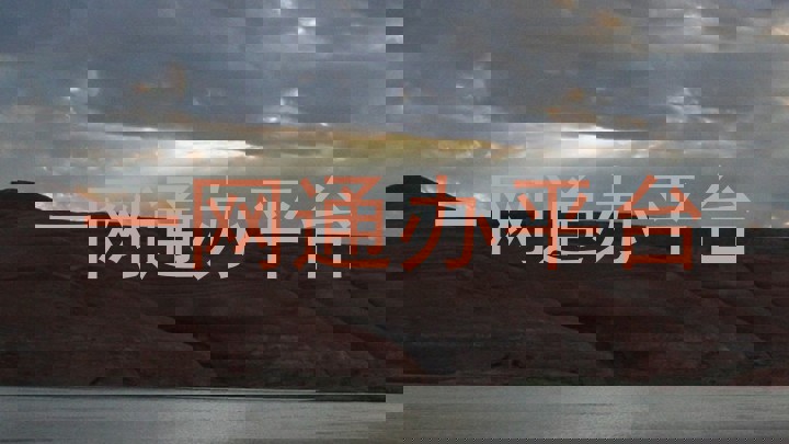 一网通办平台