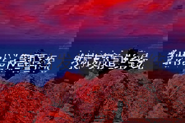 教材发放管理系统
