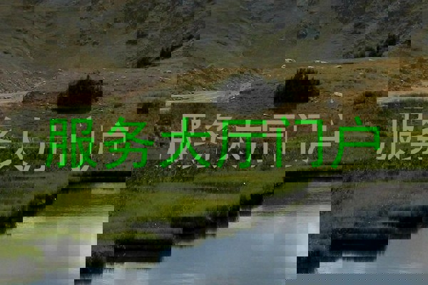 服务大厅门户