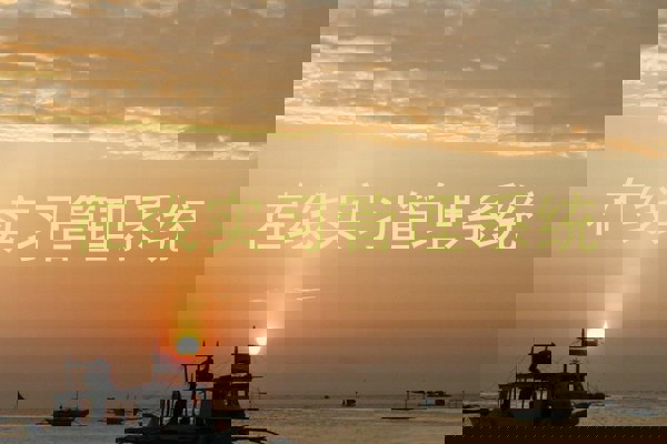 在线实习管理系统