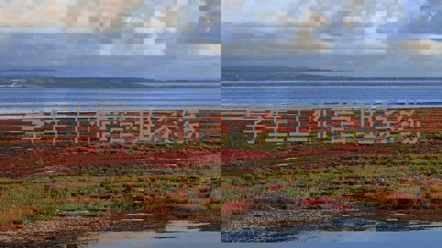 学生工作管理系统