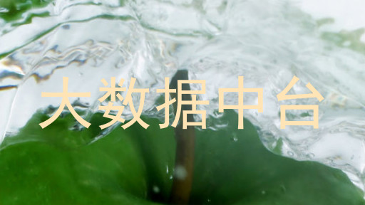 大数据中台