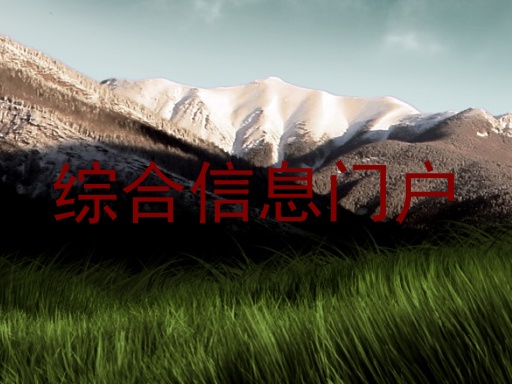 综合信息门户