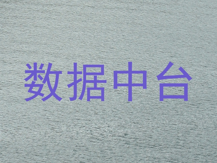 数据中台