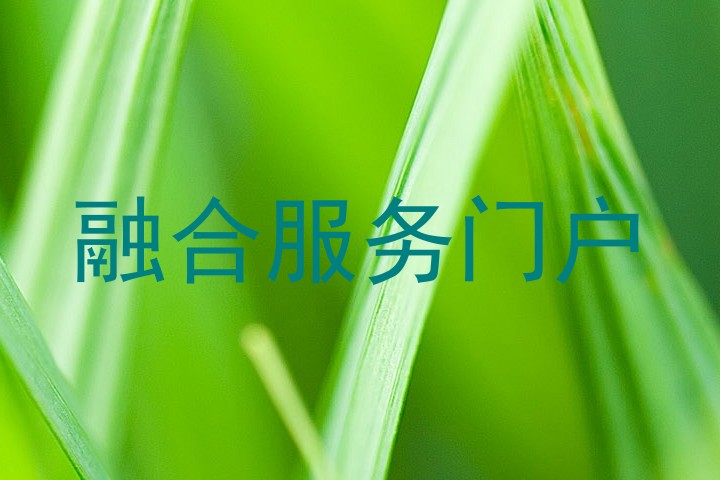 融合服务门户