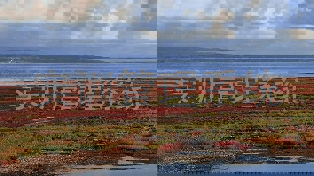 实训管理系统