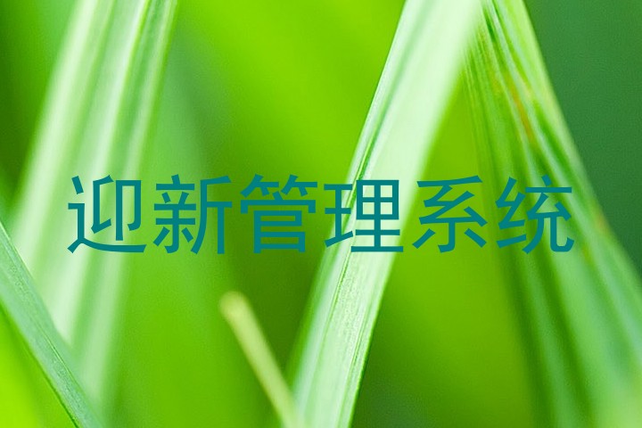 迎新管理系统