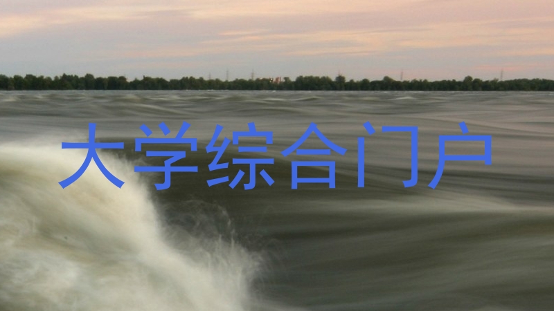 大学综合门户