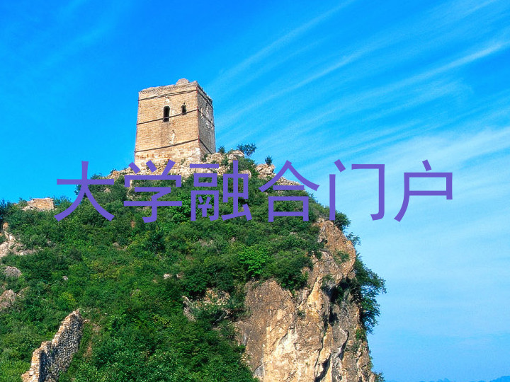 大学融合门户