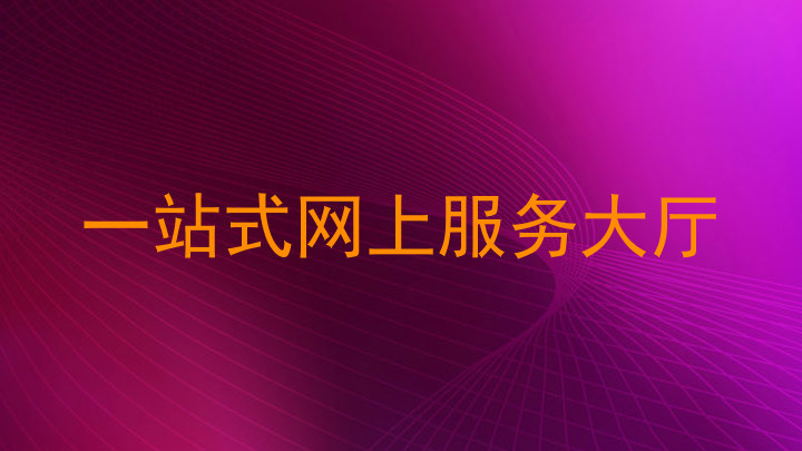 一站式网上服务大厅